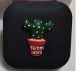 sunnyday cactus